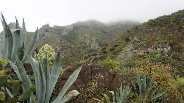 istock scenic landscape on tenerife island 1158040310