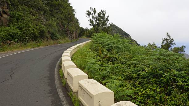istock scenic landscape on tenerife island 1158041793