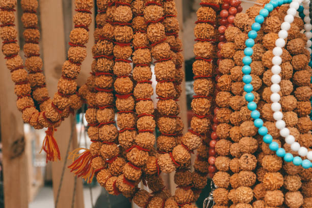 Rudraksha beads and rosary. Hindu sacred attribute for prayers. Rudraksha is used in necklaces and jewelry.