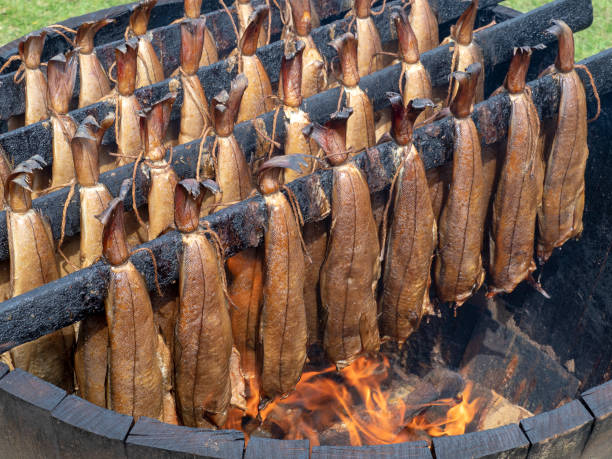 Arbroath Smokies are salted fish smoked over a damped-down hardwood fire in barrels covered in wet jute sacks, as shown here.