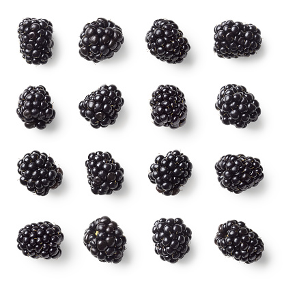 Set of various blackberries isolated on white background. Top view