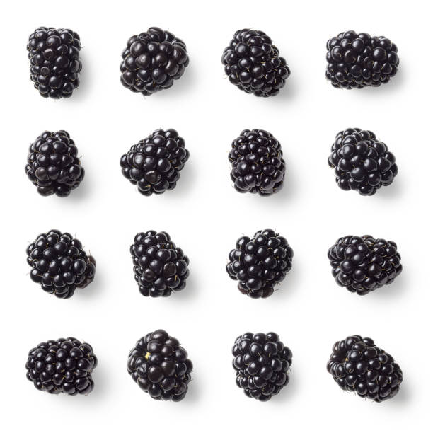 Set of various blackberries isolated on white background Set of various blackberries isolated on white background. Top view brambleberry stock pictures, royalty-free photos & images