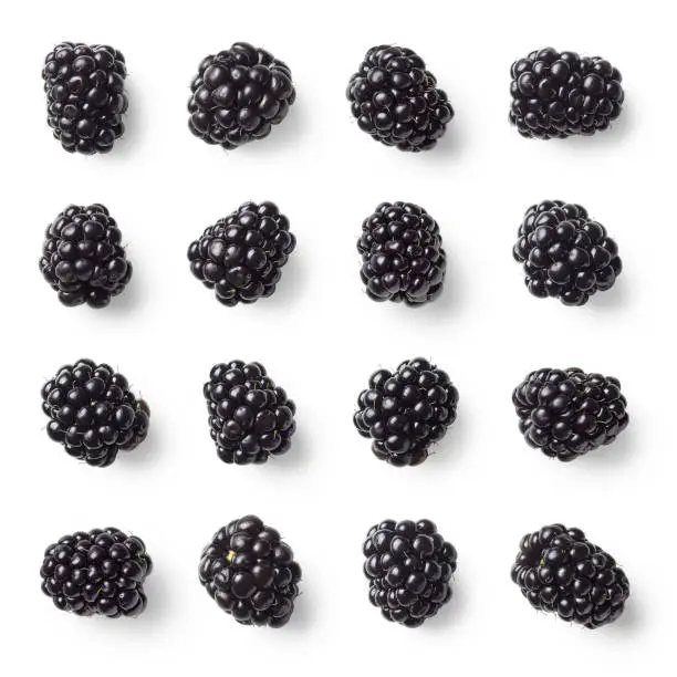 Photo of Set of various blackberries isolated on white background
