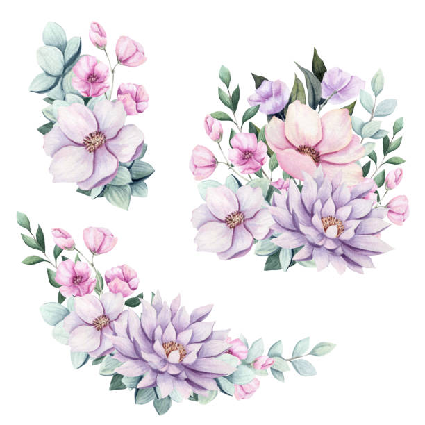 ilustrações de stock, clip art, desenhos animados e ícones de set of watercolor bouquets with flowers and leaves - bride backgrounds white bouquet