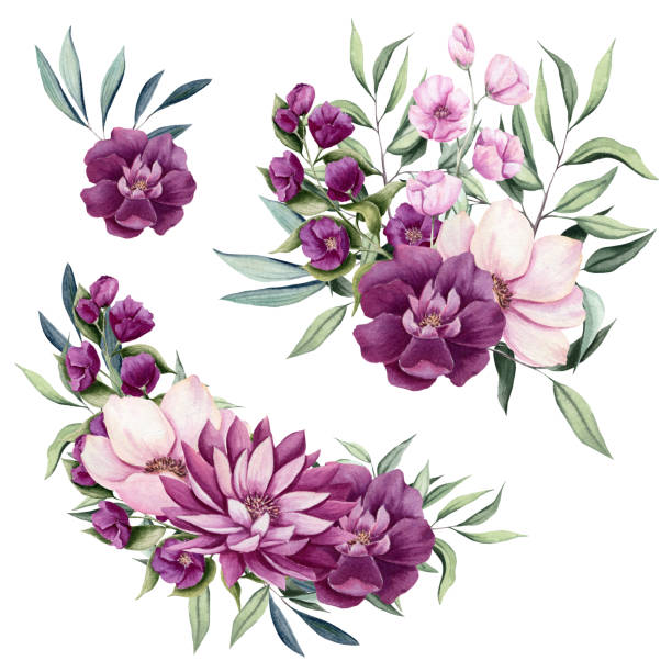 ilustrações de stock, clip art, desenhos animados e ícones de set of watercolor bouquets with maroon flowers - bride backgrounds white bouquet