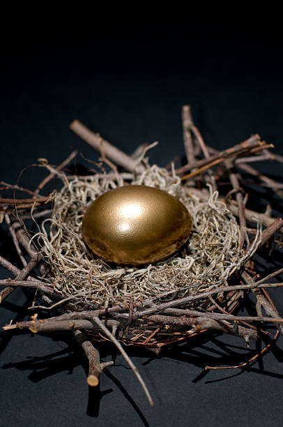 golden finansowe gniazdować jajko koncepcja - animal egg golden animal nest nest egg zdjęcia i obrazy z banku zdjęć