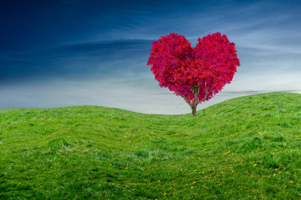 istock beautiful red heart shaped tree on a field 1158052777