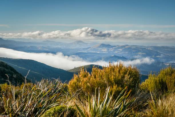 Mountain Views over Waitati, Dunedin, New Zealand