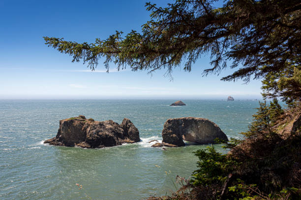 istock Samuel H. Boardman State Park Oregon Coast Beach 1 1158062974