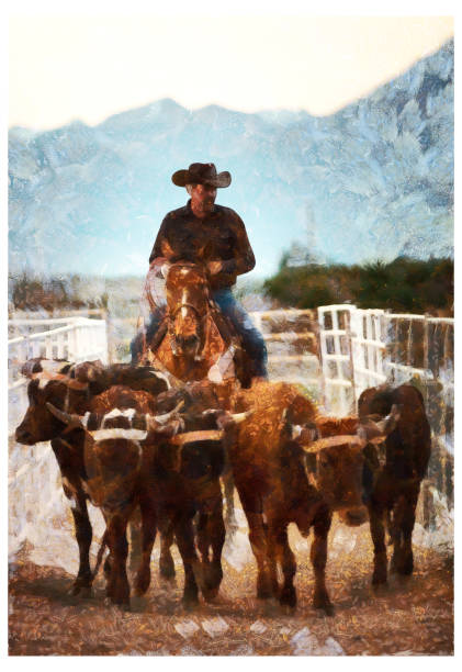 illustrazioni stock, clip art, cartoni animati e icone di tendenza di cowboy che spinge il bestiame nella scatola di roping - manipolazione fotografica digitale - illustration and painting animal cowboy horse