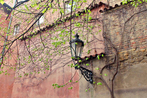 istock red old wall with a lantern and a branch with young leaves 1158065791