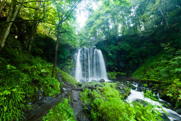 wasserfälle und gebirgsstrom im wald - spring waterfall japan landscape stock-fotos und bilder