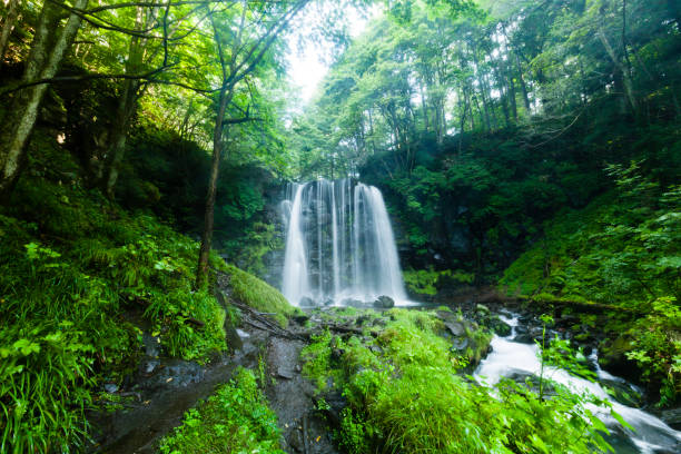 cascadas y arroyo de montaña en el bosque - japón fotos fotografías e imágenes de stock
