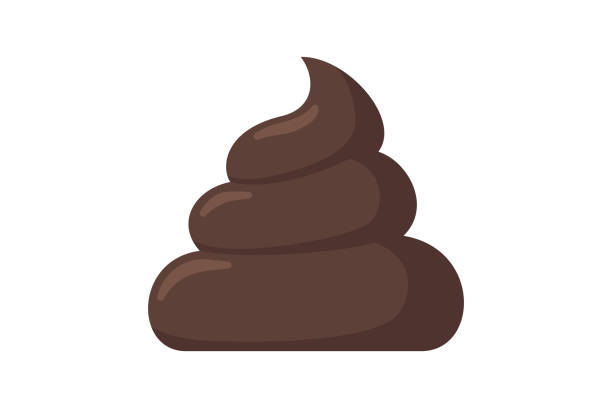 Brown piece of shit. Cartoon poop icon. Feces vector emblem illustration Brown piece of shit. Cartoon poop icon. Feces vector emblem illustration isolated on white background stool stock illustrations
