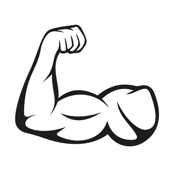 biceps, logo mięśni na białym tle. wektor - muscular build obrazy stock illustrations