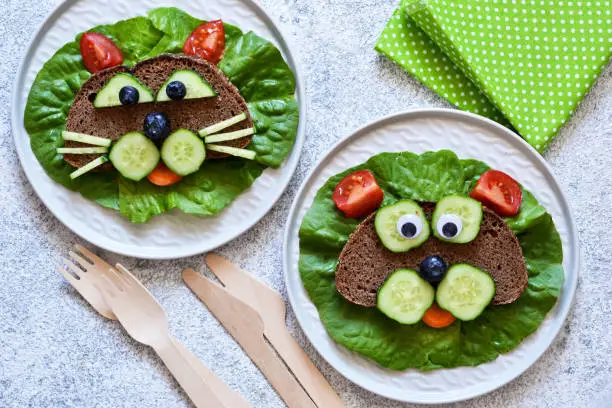 Photo of Sandwiches for children for breakfast. Animal muzzles: cat and dog. View from above.