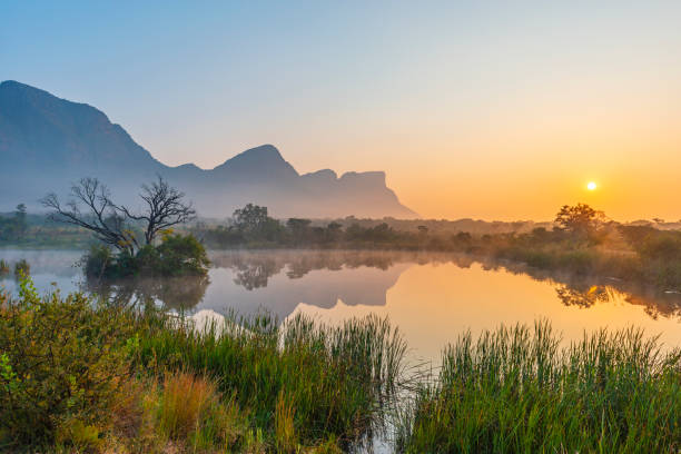 엔타베니 게임 리저브, 림포포, 남아프리카공화국 - south africa africa savannah sky 뉴스 사진 이미지