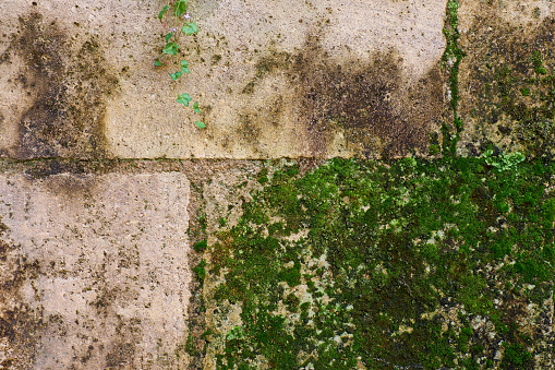 Old mossed limestone brick wall texture
