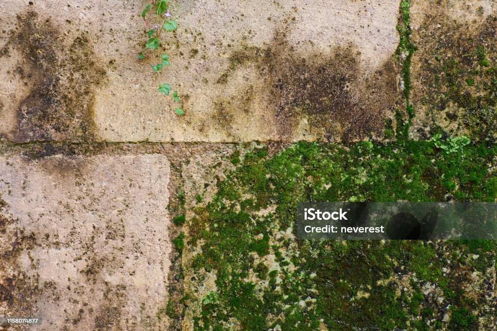 Mossed limestone bricks Old mossed limestone brick wall texture Abstract Stock Photo