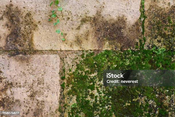 Mossed Limestone Bricks Stock Photo - Download Image Now - Abstract, Backgrounds, Brick