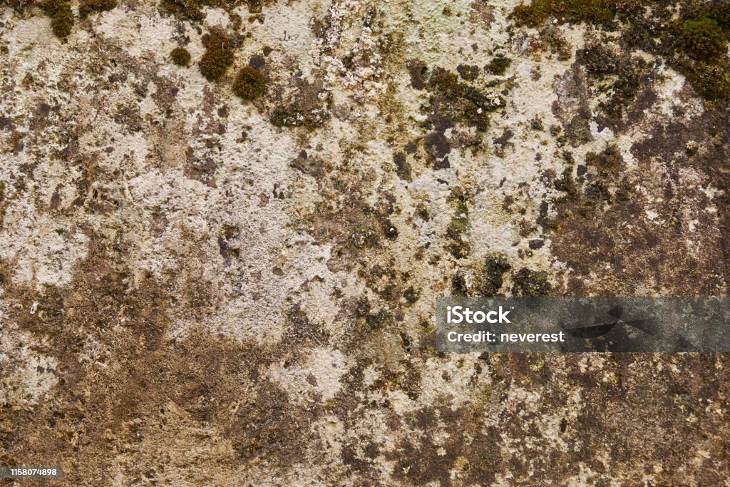 Stained stone wall Stained and mossed limestone wall background Abstract Stock Photo