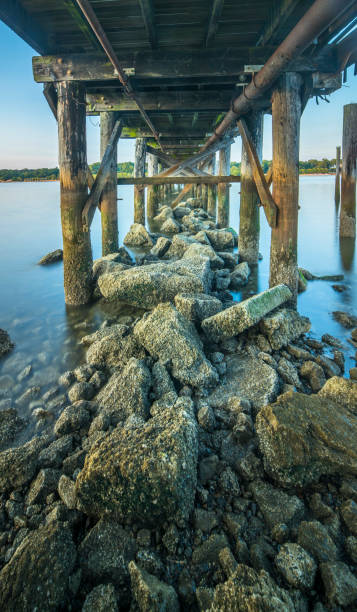 istock Under Fishing Pier 1158079362