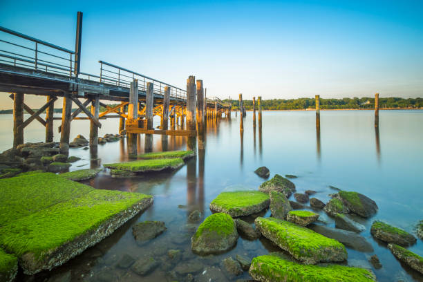 A fishing pier during dusk stock photo