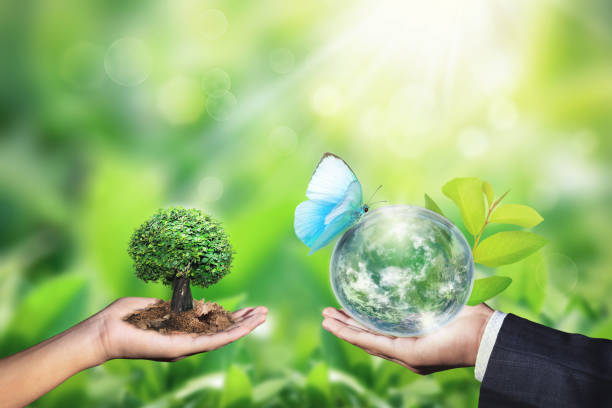istock World environment day concept with tree planting and green earth on volunteering hands. 1158080377