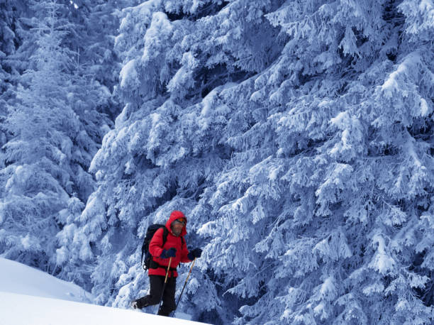 istock Hiker go on slope with new-fallen snow in snow-covered forest 1158085311