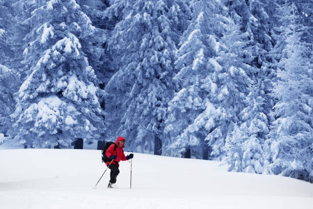 istock Backpacker go on snowy slope in snow-covered magic forest 1158085313