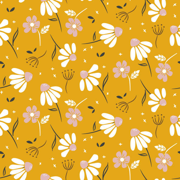 illustrazioni stock, clip art, cartoni animati e icone di tendenza di camomilla senape fiori gialli motivo moderno motivo senza cuciture trama vettoriale. - daisy chamomile chamomile plant white