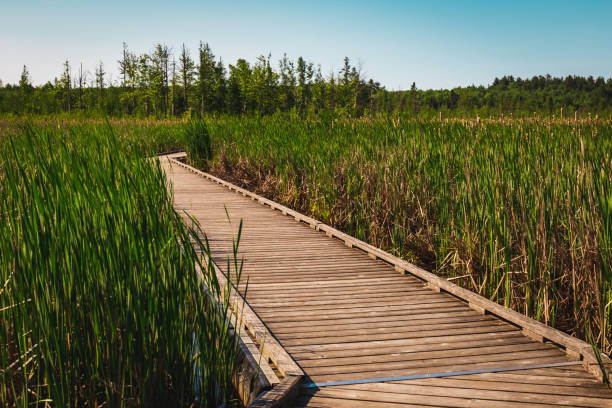 istock Mer Bleu Boardwalk on a Summer Day in Ottawa, Ontario 1158088233