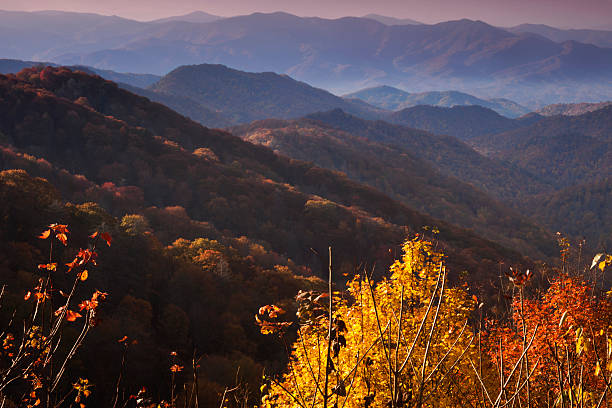 istock Autumn hill sides in the Smokies 115809099