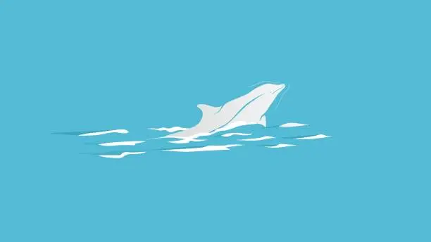 Vector illustration of dolphins in the sea