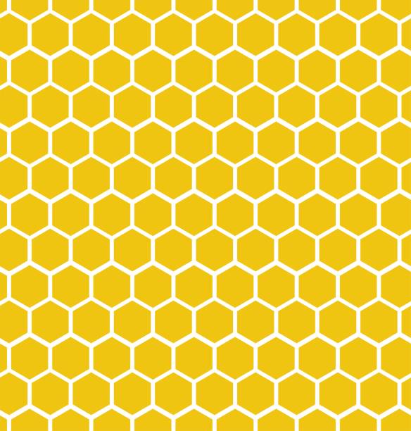 Hexagon honeycomb seamless background. Geometric decorative simple texture. Vector illustration. Hexagon honeycomb seamless background. Geometric decorative simple texture. Vector illustration. bee patterns stock illustrations