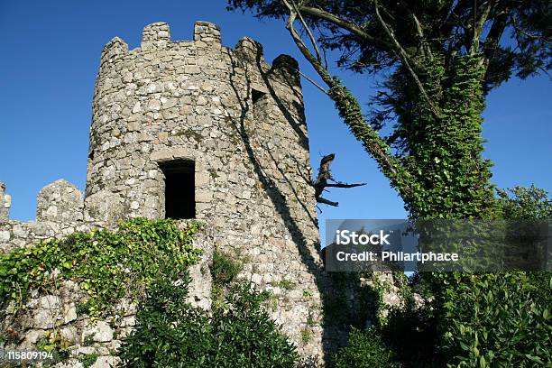 Photo libre de droit de Ancienne Tour De Vigie banque d'images et plus d'images libres de droit de Antique - Antique, Arbre, Architecture