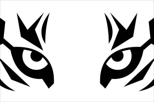 ilustraciones, imágenes clip art, dibujos animados e iconos de stock de cierra los ojos del tigre - gato montés