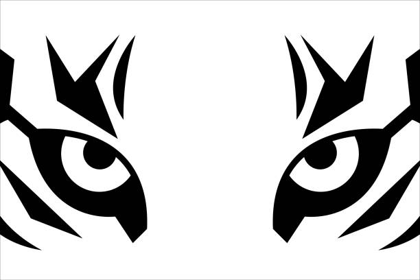 Close up eyes of tiger Close up eyes of tiger. Black and white t-shirt print with tiger face. Vector sticker animal head illustrations stock illustrations
