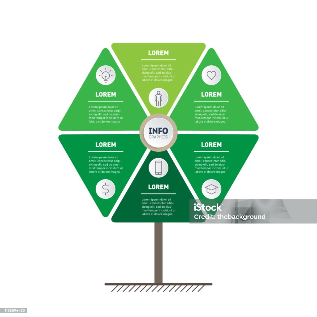 Display Technology Point Tree Vector Infographic Of Technology Or Education Process With 6 Points ...