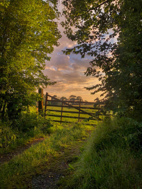 istock French countryside sunset landscape, gate surrounded by trees with sun setting.  Located near Normandy. 1158100060