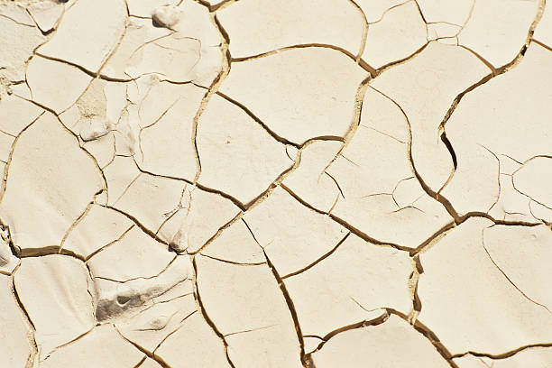 istock Close-up of dry soil 115810121