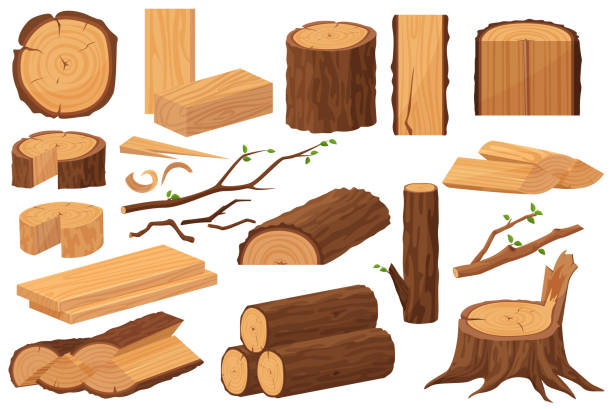 ilustraciones, imágenes clip art, dibujos animados e iconos de stock de materias primas de la industria de la madera. recogida realista de muestras de producción. tronco de árbol, troncos, troncos, tablones de madera, tocones, rama de madera, ramas de la ilustración vectorial de dibujos animados. - lumber industry lumberyard stack wood