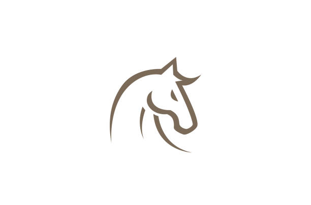 illustrazioni stock, clip art, cartoni animati e icone di tendenza di illustrazione creativa del simbolo vettoriale del disegno della testa del cavallo - cavallo