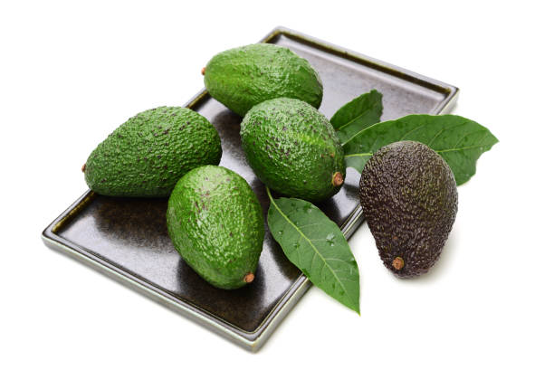 avocado auf weißem hintergrund - 15838 stock-fotos und bilder