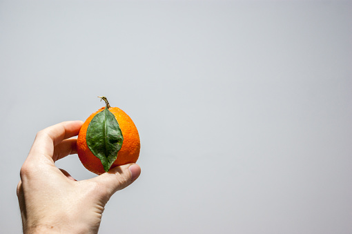 a lonely one orange meyer lemon with its seed or leaf and leave shadow in the hand of a caucasian men over a white background