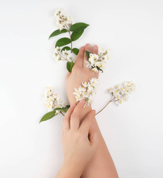 istock female hands and small white flowers on a white background 1158112541