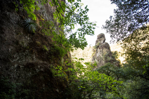 istock Archaeological Zone the Tepozteco Hike 1158114724