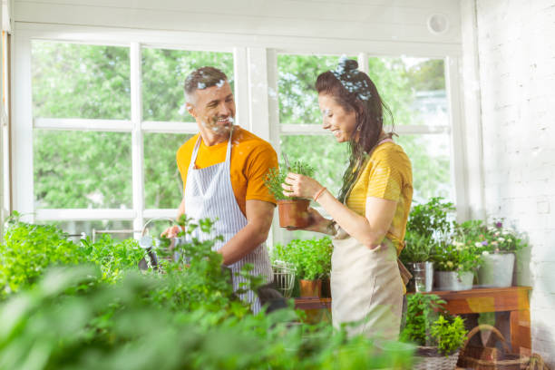 istock Two coworkers talking about plants behind the window. 1158117319