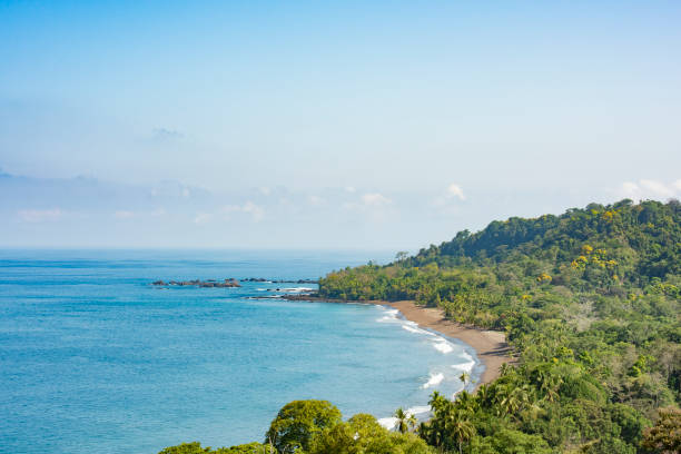 istock Corcovado National Park 1158117509