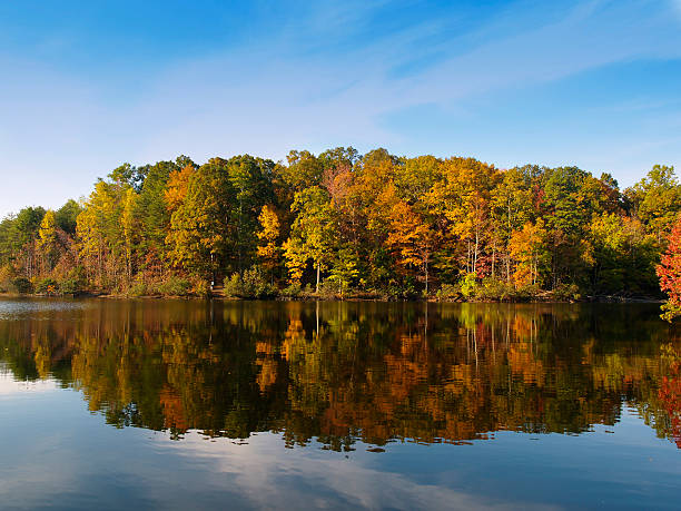 istock Autumn tree line reflecting in tranquil lake in Carolina 115811959
